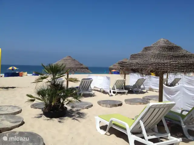 Bico das Flores 1 | Portugal, Costa Verde, Praia De Mira - maison de vacances Plage Praia de Mira