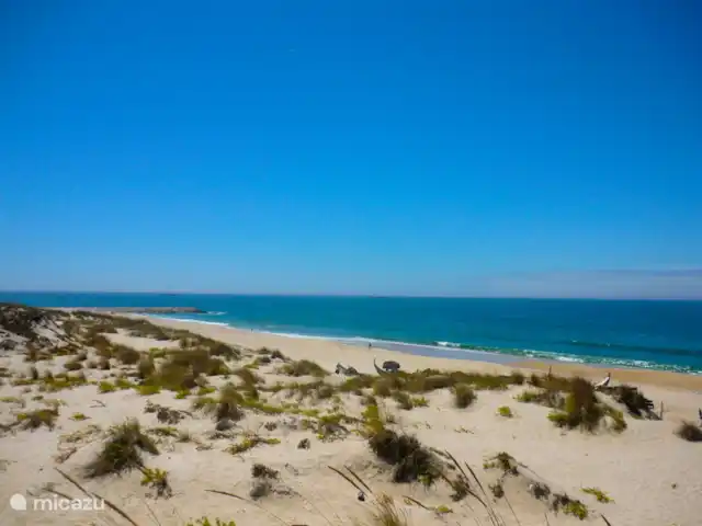 Bico das Flores 1 | Portugal, Costa Verde, Praia De Mira - maison de vacances Plage Praia de Mira