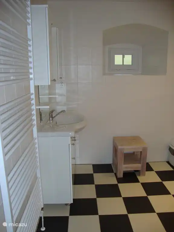 El baño del apartamento.