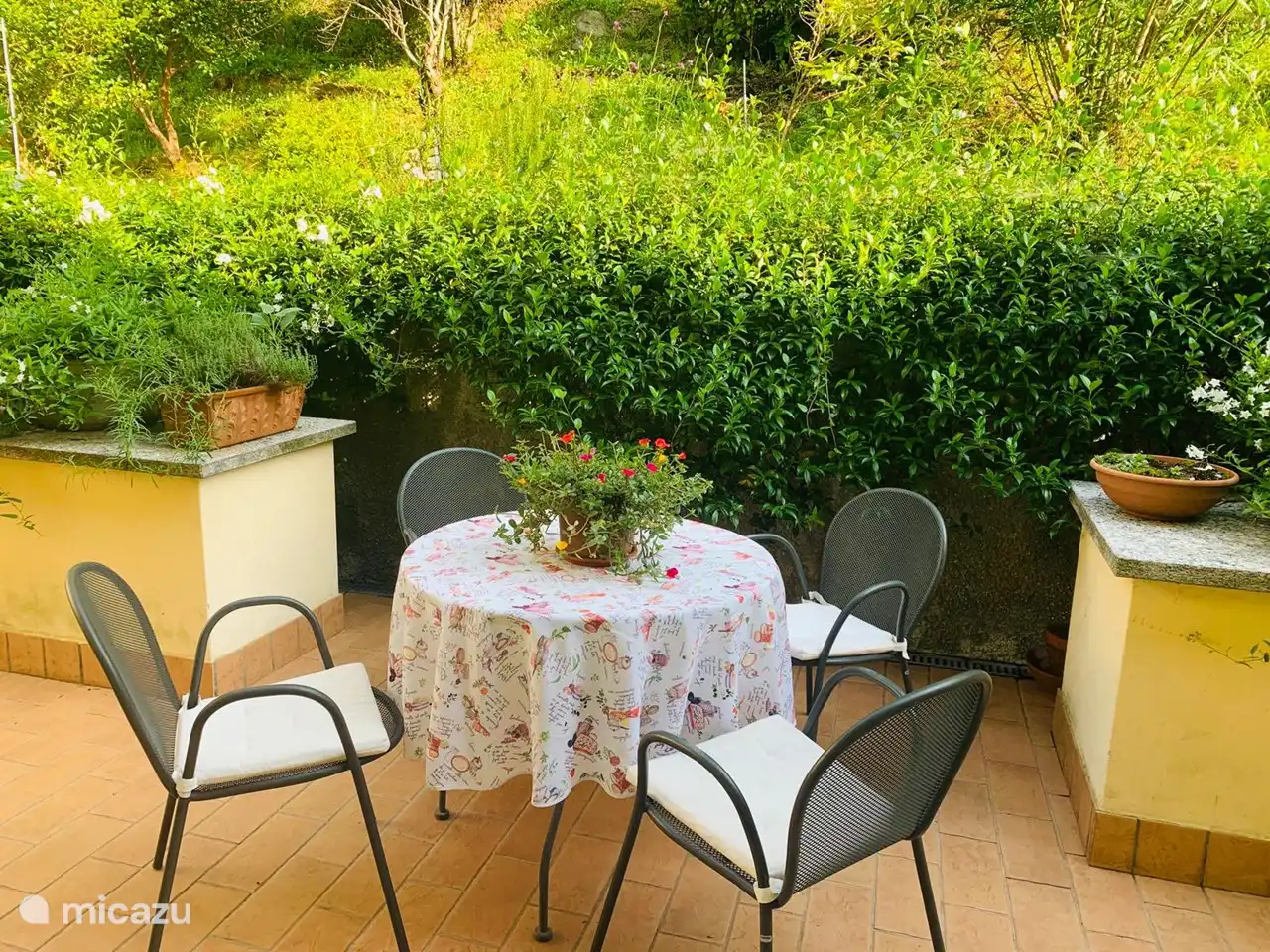 Eine schöne schattige Terrasse auf der Rückseite mit einem duftenden Berggarten. Auch auf den Hochebenen gibt es in der Saison Kräuter und Blütenpflanzen.