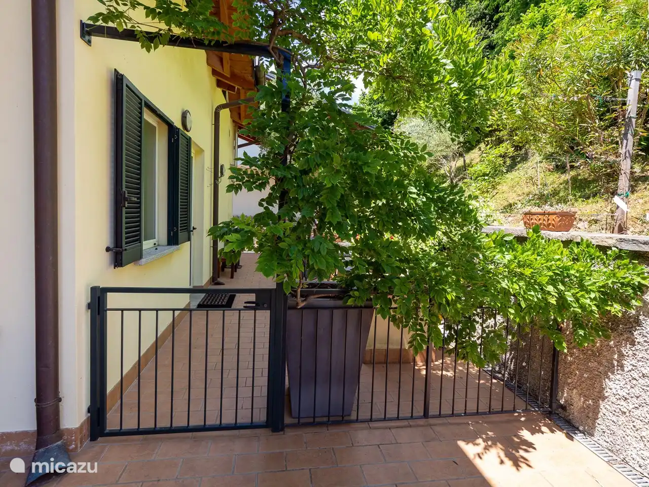 Eingangstor zur hinteren Terrasse und Eingangstür der Wohnung