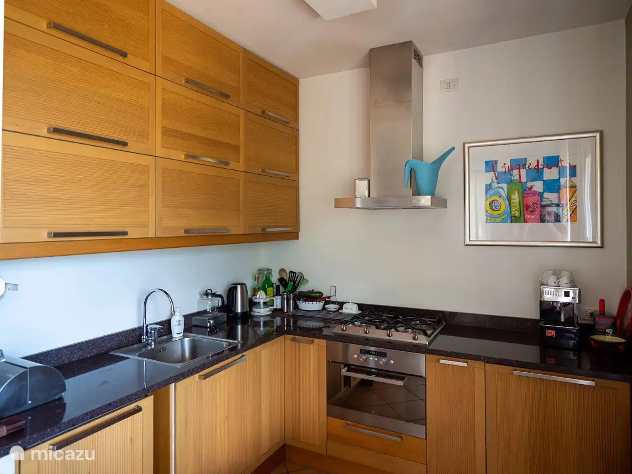 Detail der voll ausgestatteten Küche. Da wir selbst sehr gerne kochen, finden Sie dort alles, was Sie brauchen. Sogar eine Nudelmaschine...