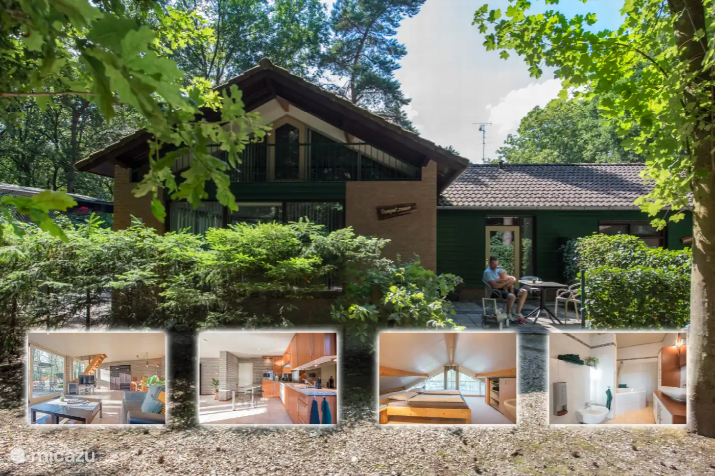 Trompeter-Schwan in Niederlande, Nordbrabant, Heesch - Ferienhaus