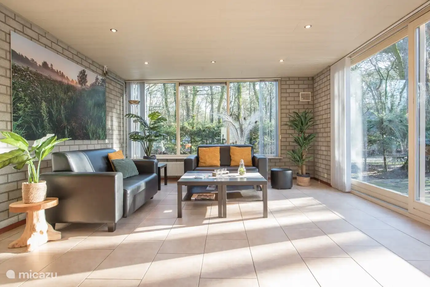 Trompeter-Schwan in Niederlande, Nordbrabant, Heesch - Ferienhaus