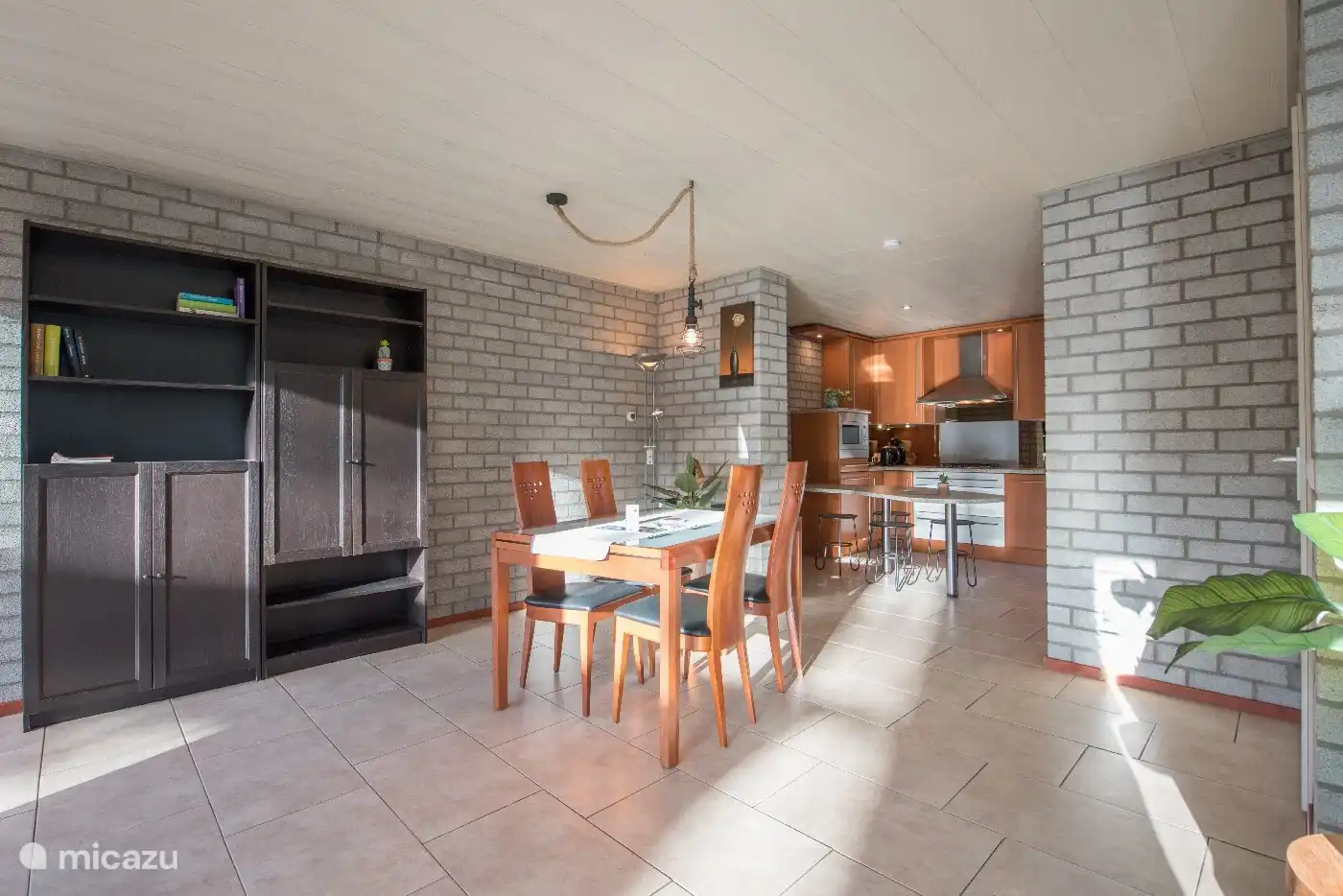 Trompeter-Schwan in Niederlande, Nordbrabant, Heesch - Ferienhaus