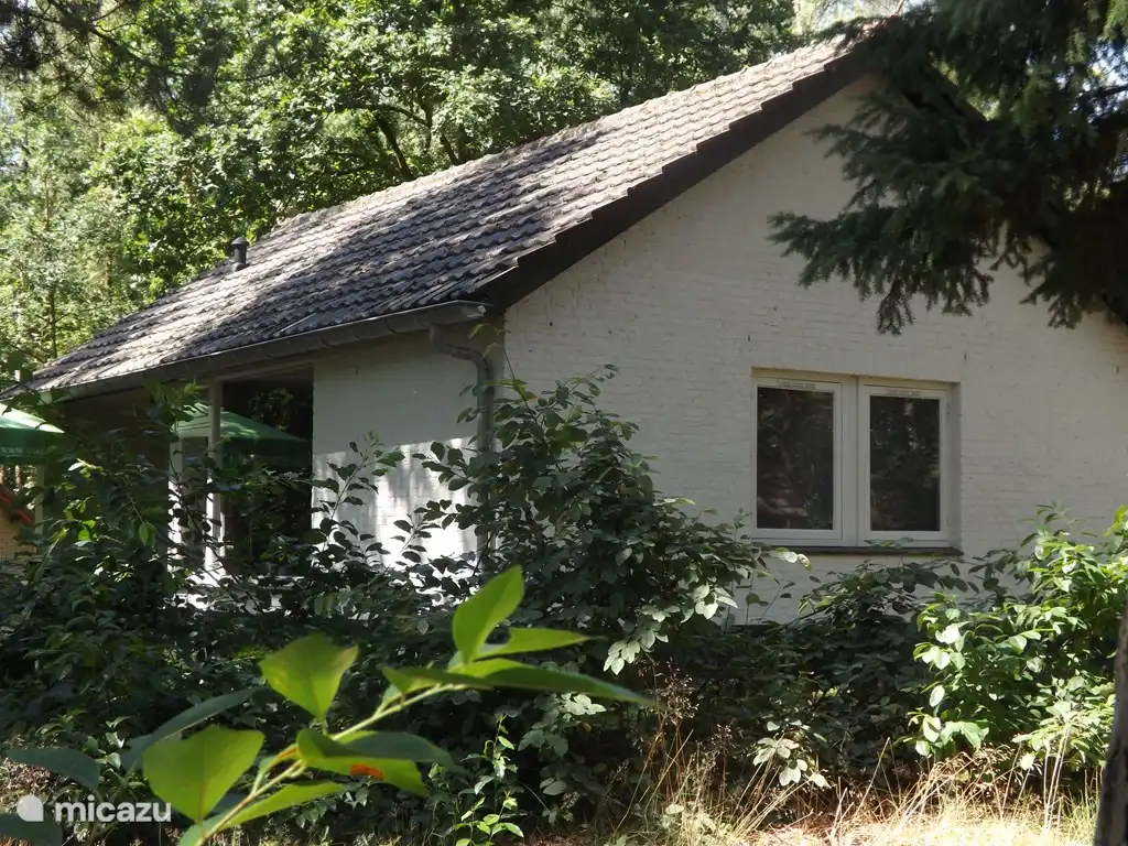 Vosseven 32 Geelgors in Niederlande, Limburg, Stramproy - Ferienhaus