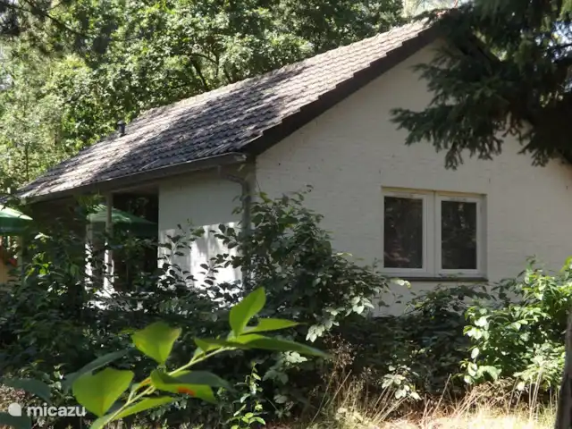 Location de Vacances Pays-Bas, Limbourg, Stramproy, maison de vacances - Vosseven 32 marteau jaune Location de Vacances Pays-Bas, Limbourg, Stramproy, maison de vacances - Vosseven 32 marteau jaune