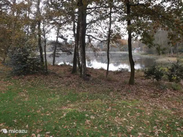Location de Vacances Pays-Bas, Limbourg, Stramproy, maison de vacances - Vosseven 32 marteau jaune vue de la terrasse