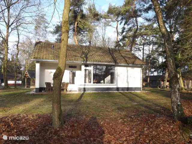 Location de Vacances Pays-Bas, Limbourg, Stramproy, maison de vacances - Vosseven 32 marteau jaune maison de vacances vue de face