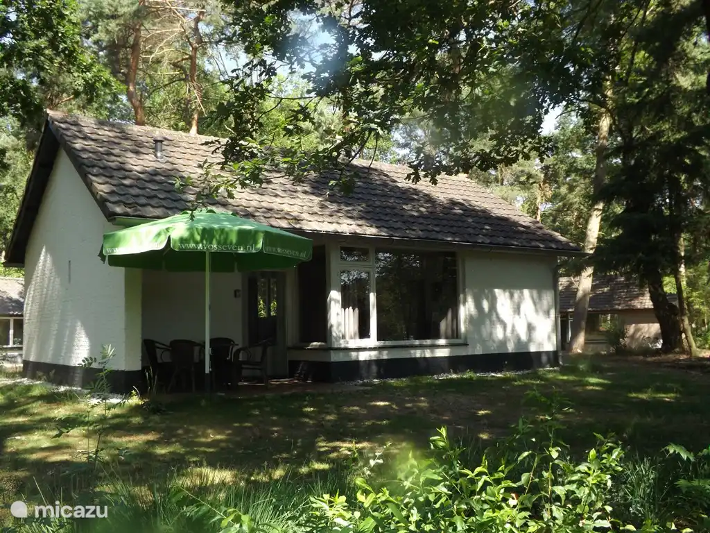 Vosseven 32 Geelgors in Niederlande, Limburg, Stramproy - Ferienhaus