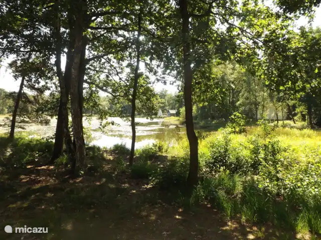 Location de Vacances Pays-Bas, Limbourg, Stramproy, maison de vacances - Vosseven 32 marteau jaune perspective