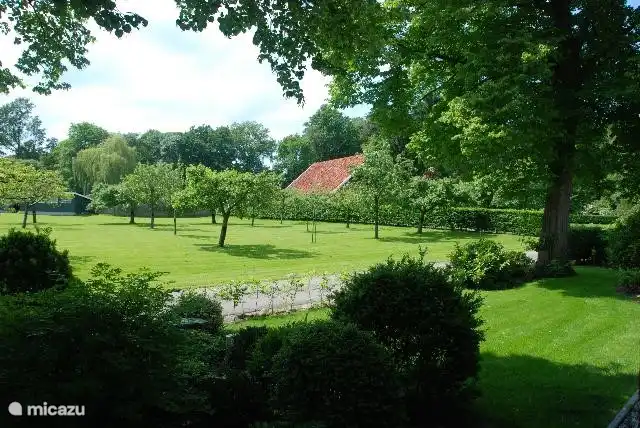 Aussicht auf den Obstgarten.