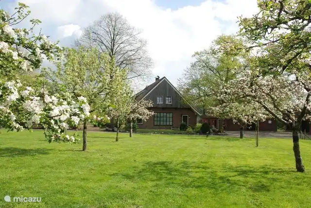 Der Obstgarten im Frühjahr.