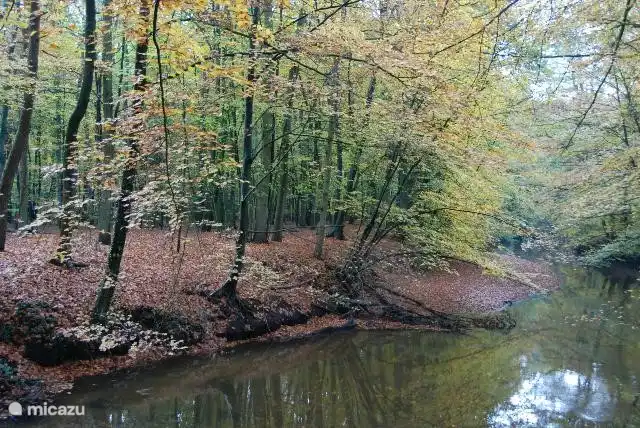 Entlang der Dinkel ....