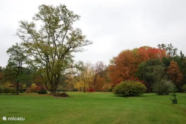 Das Arboretum in De Lutte.