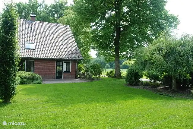 Gartenseite mit Terrasse.