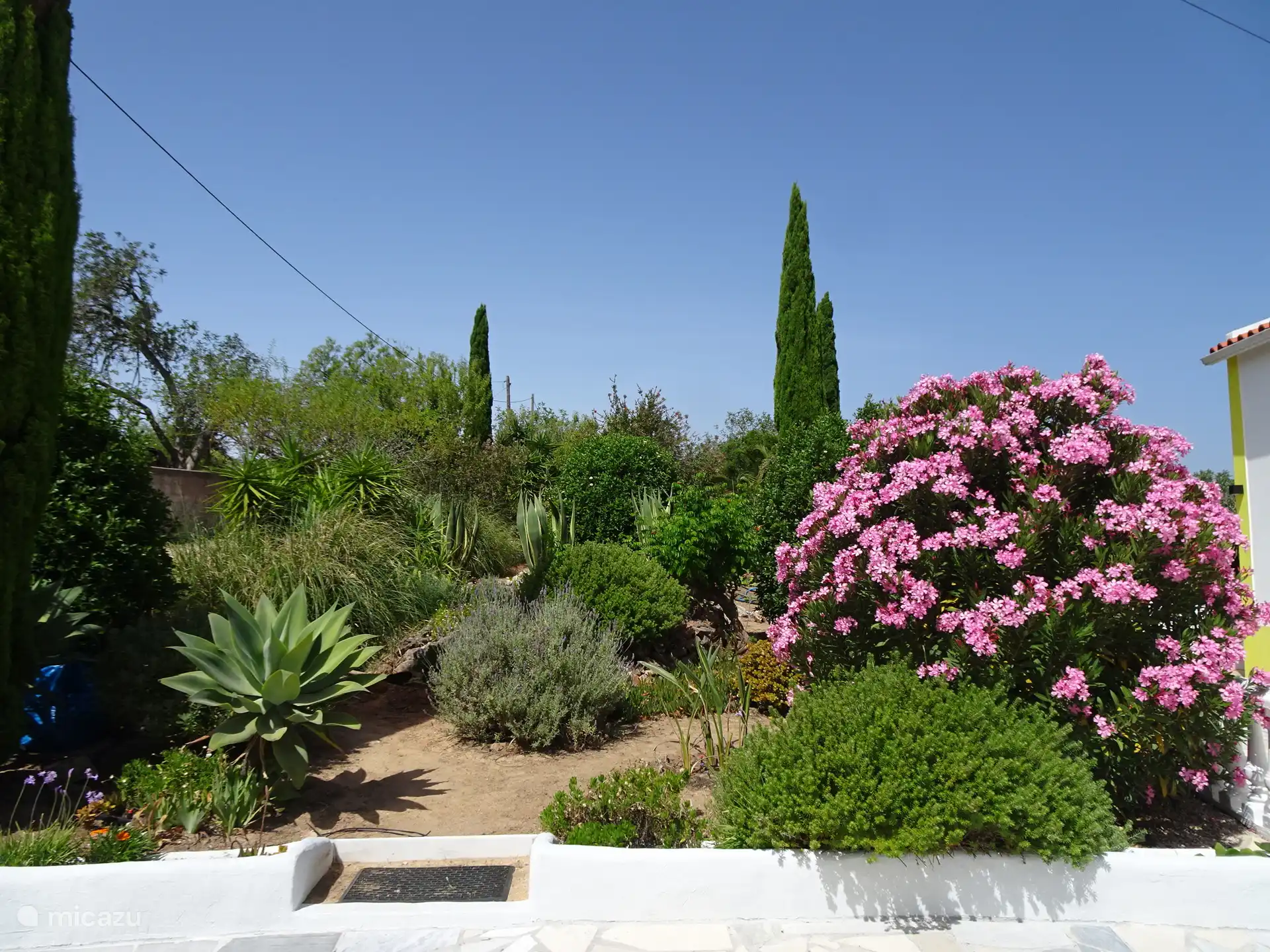 Der Garten gehört zur Quinta, aber auch von Ihrer Terrasse aus haben Sie eine schöne Aussicht!