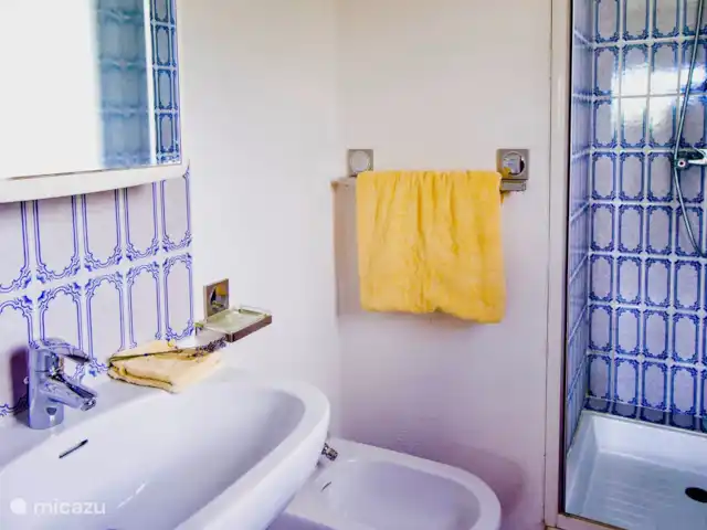 Villa la Fermic | France, Côte d'Azur, Tanneron - villa
