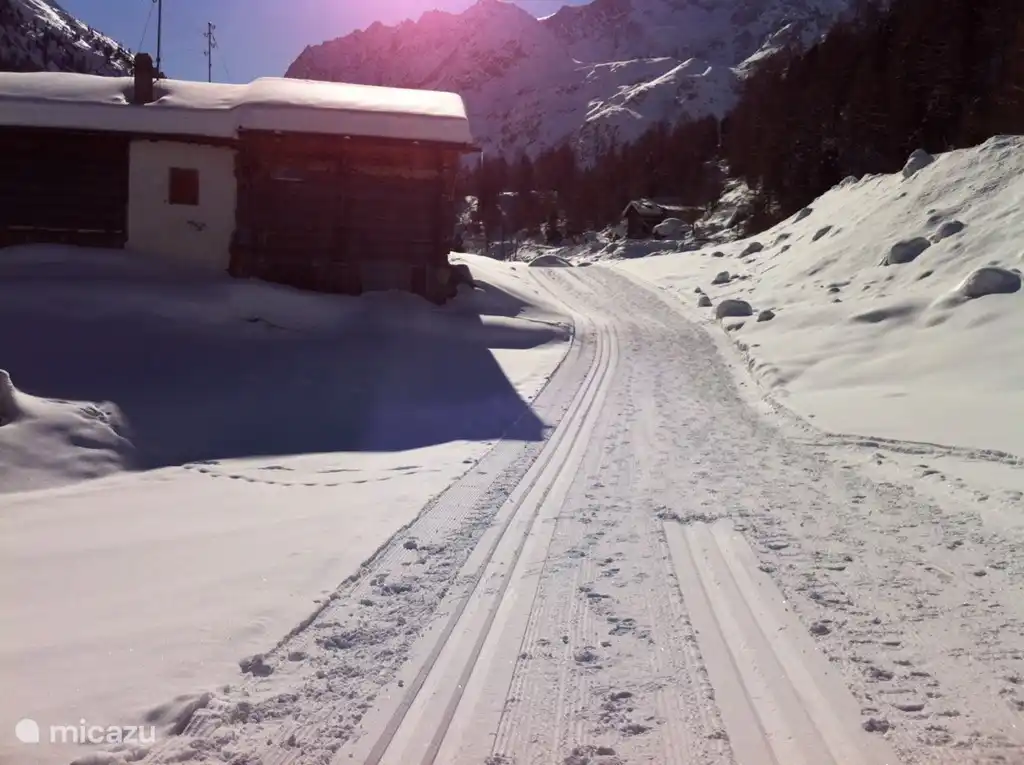 Langlaufpiste voor die voor Chalet Bams loopt