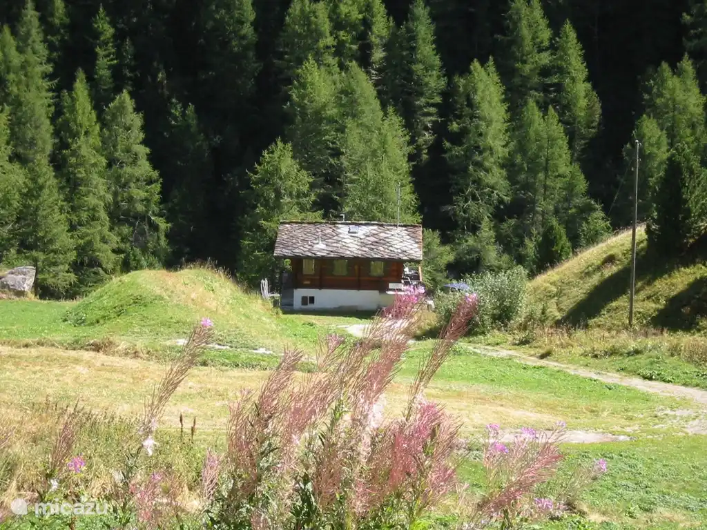 Chalet Bams met privegrond