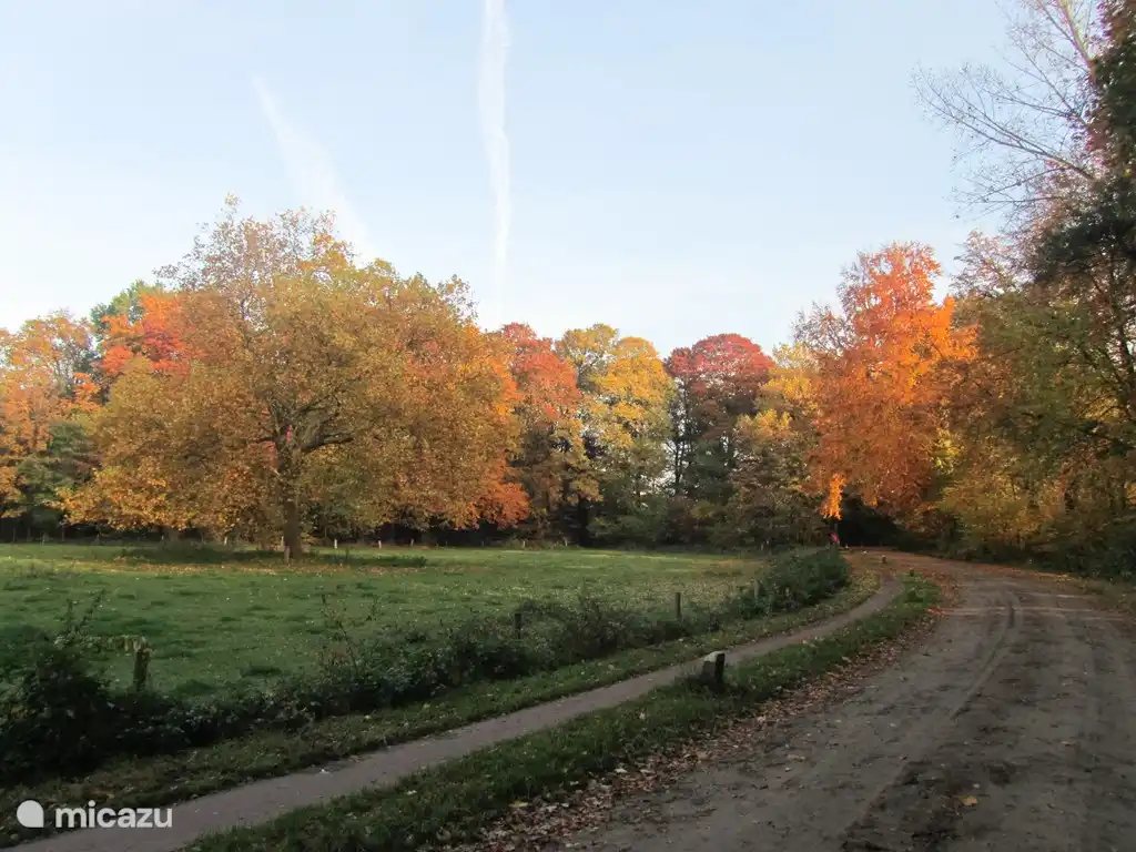 Dieses Foto habe ich im Herbst. Was für Farben! Das ist fast in der Rückseite des Oslo Chalet ...