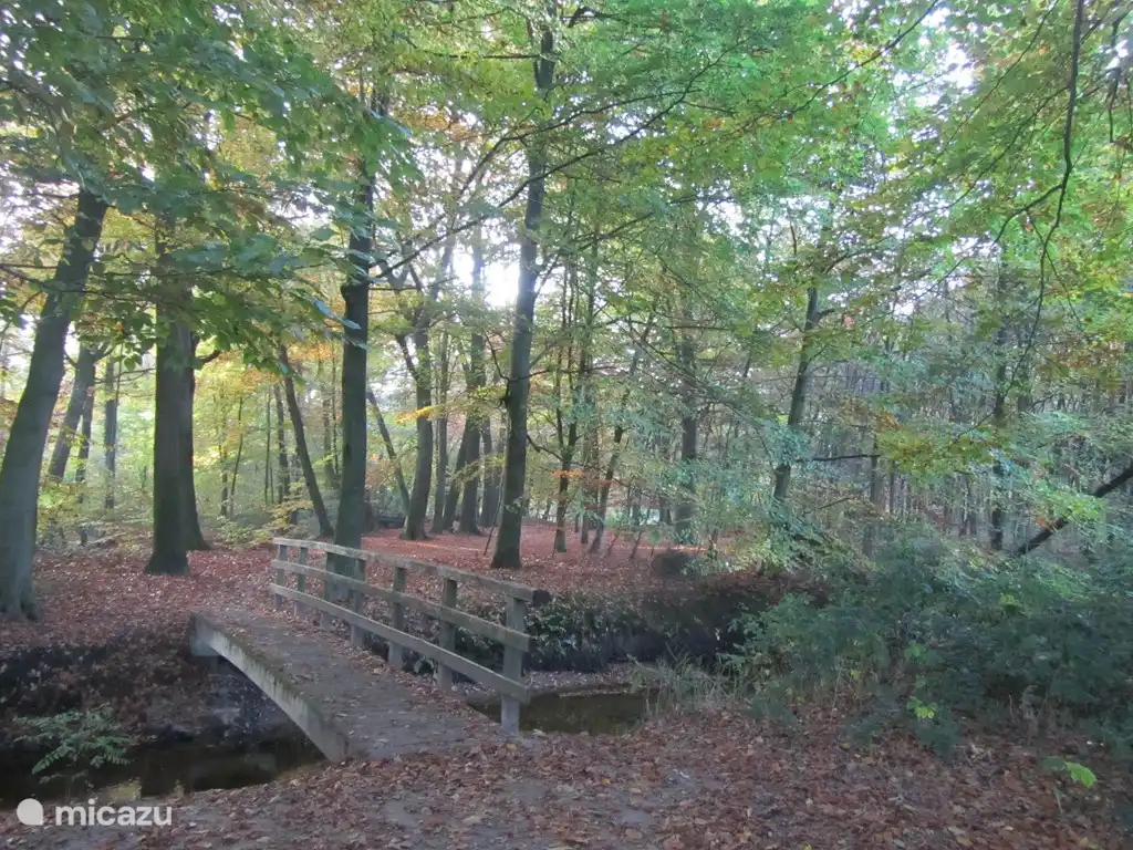 Die Umgebung des Chalets ist einer der schönsten Orte in Winterswijk. Sie gingen oder Radfahren als eine Möglichkeit entfernt. Dieser Ort ist in der Nähe des Chalet.