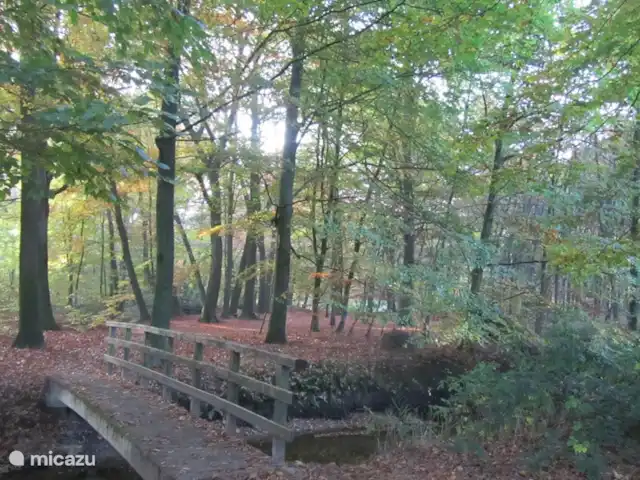 Chalet Oslo huren in Nederland, Gelderland, Winterswijk - vakantiehuis Het gebied rondom de chalet is een van de mooiste plekjes van Winterswijk. U wandeld of fietst zo een eind weg. Deze plek is dichtbij de Chalet.