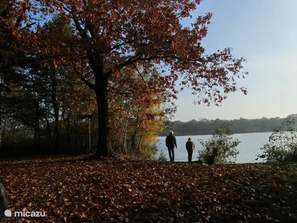 Wirklich ein Muss, um zu den schönen Hilgelomeer einen gemütlichen Spaziergang. Sie haben eine schöne Aussicht!