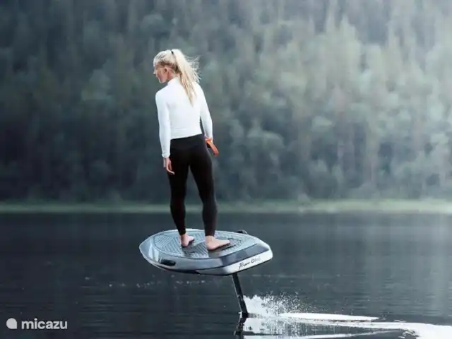 Chalet Oslo huren in Nederland, Gelderland, Winterswijk - vakantiehuis Durft u het aan? Deze elektrische zwevende surfplank zie je geregeld op het Hilgelo zweven! Wel even een lesje volgen en dan moet het lukken??