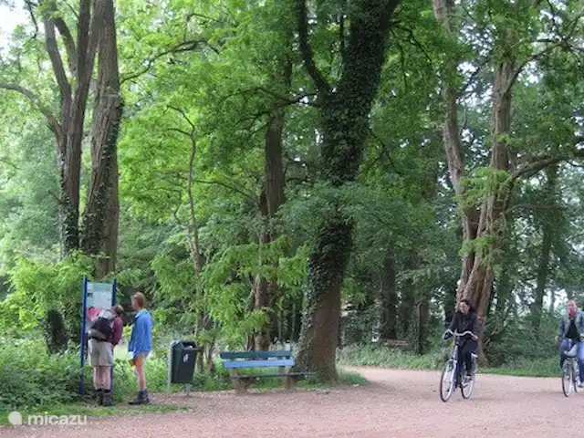 Chalet Oslo huren in Nederland, Gelderland, Winterswijk - vakantiehuis Winterswijk is aangesloten op het fietsknooppunten netwerk in de Achterhoek, dus dat betekent dat je je eigen route samen kunt stellen. Bij veel boerenbedrijven vind je rustpunten waar je op basis van zelfbediening koffie en thee kan krijgen.
