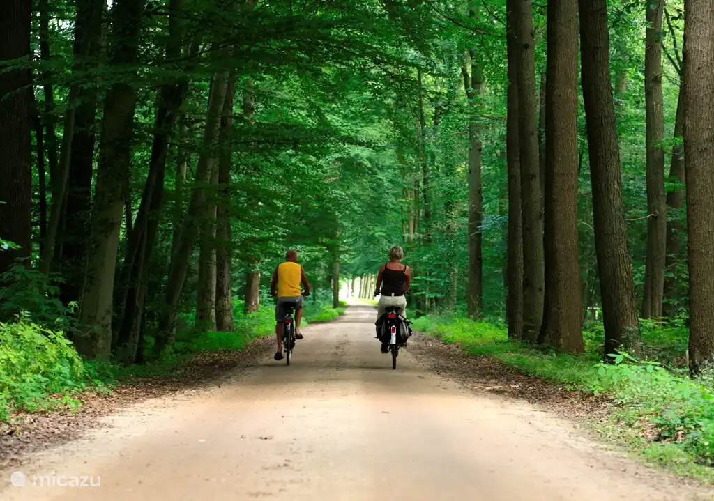 Winterswijk ist auf drei Seiten von Deutschland begrenzt. Eine perfekte Gelegenheit, um einen Blick über die Grenze. Die Agrar-cultura Route zeigt Ihnen die idyllische Landschaften .Wenn Zwillbrocker Venn Sie in den Frühlings- und Sommer Flamingos sehen kann. Wirklich schön! (Vvv winterswijk (Routen)