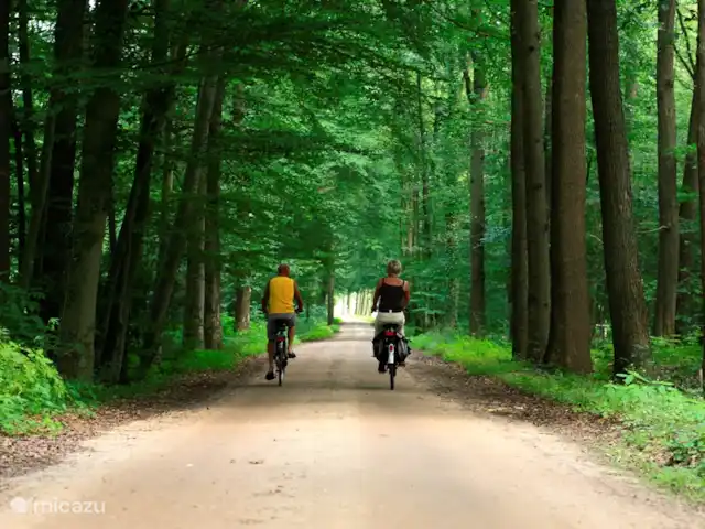 Chalet Oslo huren in Nederland, Gelderland, Winterswijk - vakantiehuis Winterswijk wordt aan drie kanten begrensd  door Duitsland. Een perfecte aanleiding om een kijkje over de grens te nemen. De Agri-cultura route laat je de idyllische landschappen zien .Bij het Zwillbrocker Venn kun je in het voorjaar en zomer flamingo's zien. Echt prachtig! (vvv winterswijk (routes)
