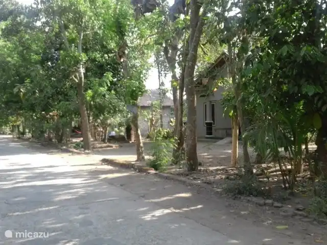 villa huren in Indonesië, Java, Yogyakarta – Villa Rosseno De villa staat midden in een rustige traditionele Indonesische Kampung. Heel bijzonder en prachtig voor wandelingen vanwege de mooie rijstvelden om ons heen