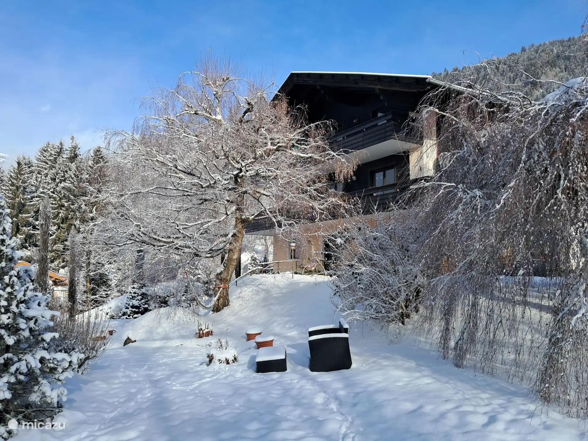 Onze tuin in winterse sferen