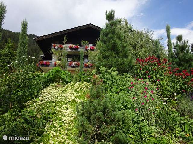 Holiday home in Austria, Carinthia, Dobriach - apartment Landhaus Bonaventura - SALVIA