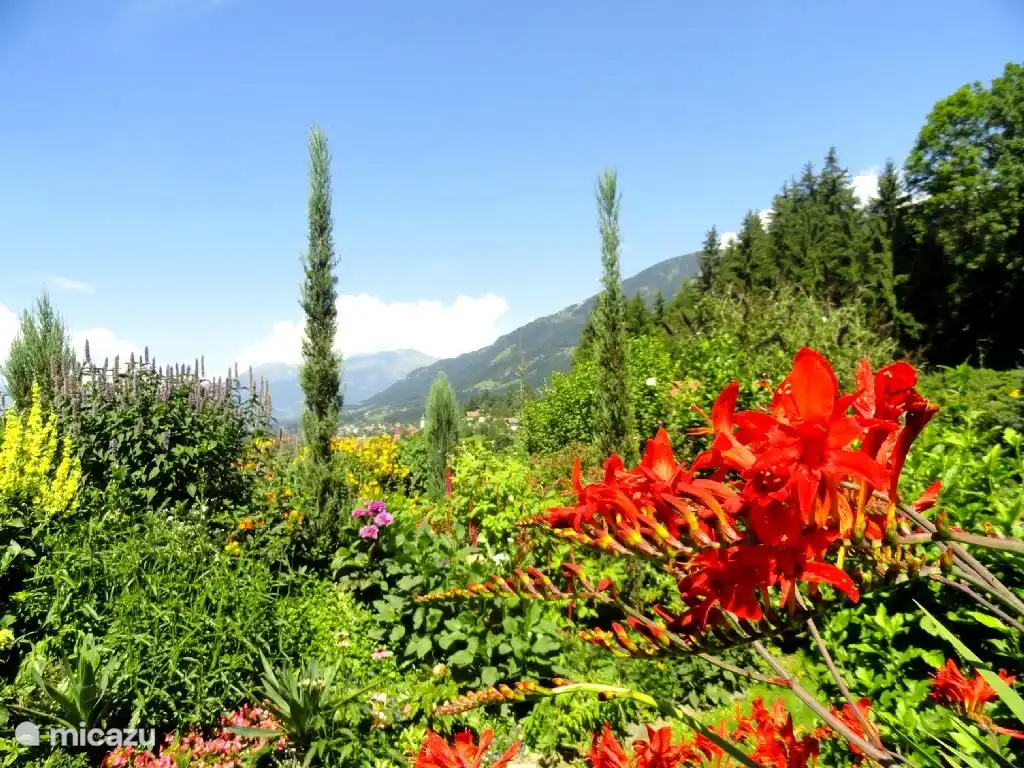 Garten mit herrlichem Blick!