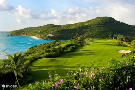 le golf