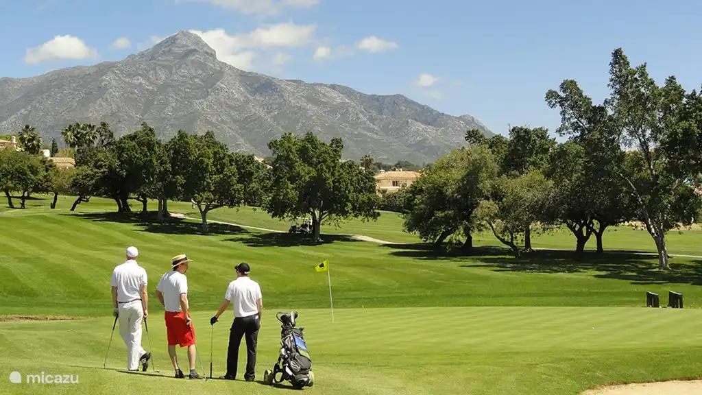 Golf dans la région sur fond de mer et montagne. Cette photo en donne une impression.