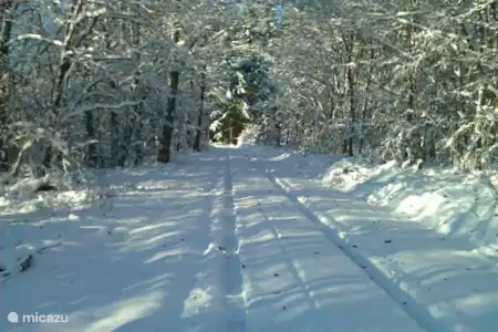 Wat is er te doen in de omgeving?