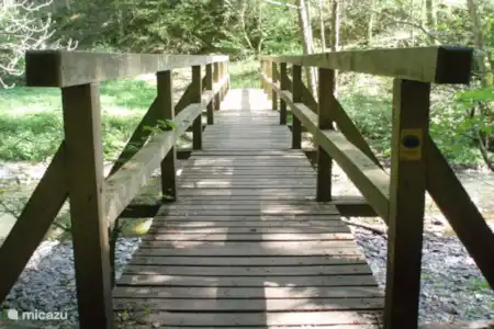 Wat is er te doen in de omgeving?