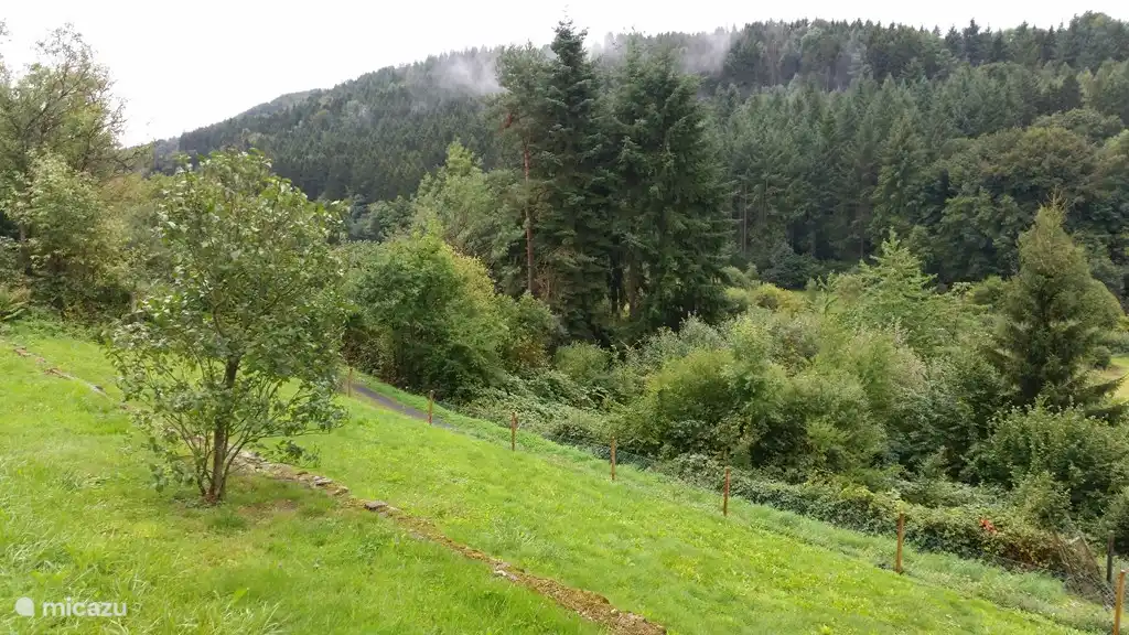 Der Blick über die Wälder beginnt am Rande des Gartens.