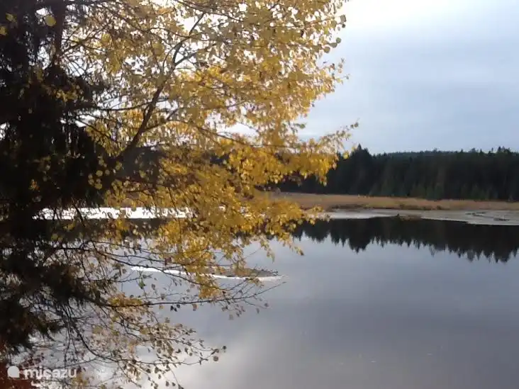 schöne Natur in der unmittelbaren Umgebung (Bild von einer Radtour)