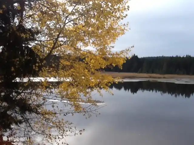 Vakantievilla Lipno huren in Tsjechië, Zuid-Bohemen, Lipno nad Vltavou - vakantiehuis mooie natuur in de directe omgeving (foto van een fietstocht)