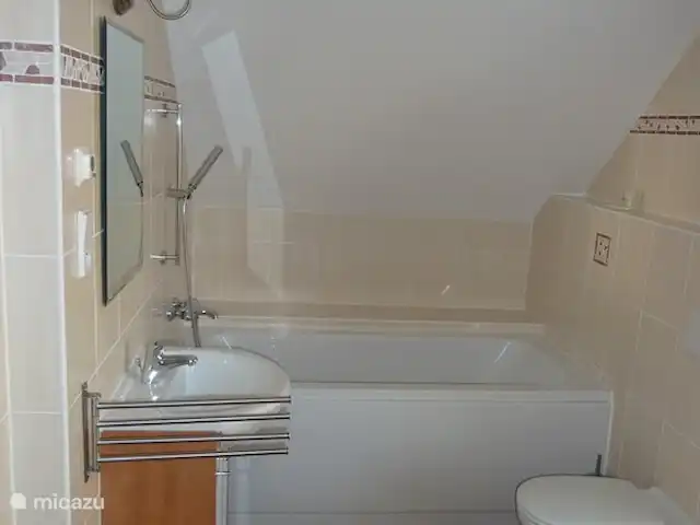 Vakantievilla Lipno huren in Tsjechië, Zuid-Bohemen, Lipno nad Vltavou - vakantiehuis badkamer 1 boven