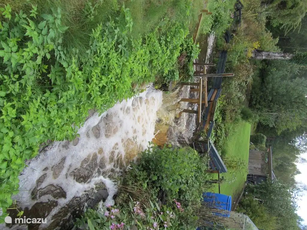 Ruisseau à côté de la maison.