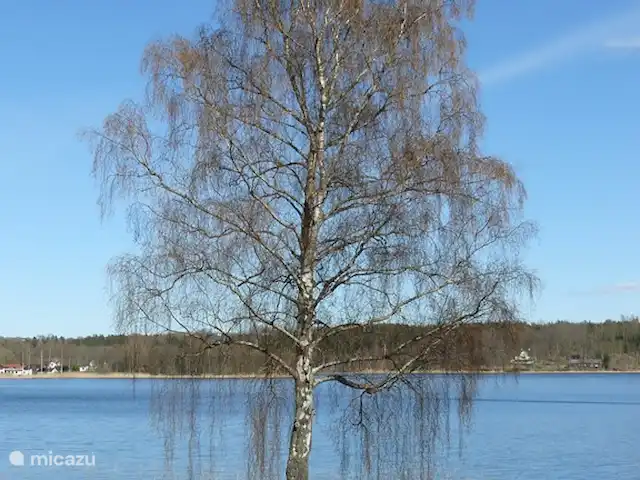 La casa Blanca en Suecia, Västergötland, Vegby - casa vacacional Nuestro estanque de peces también piscina.