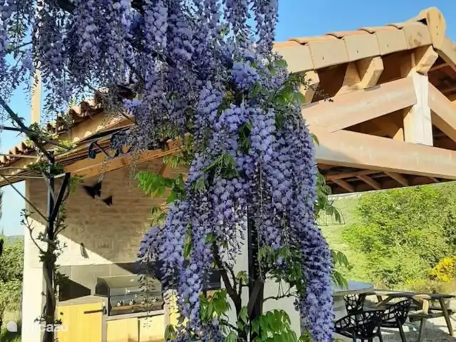 Pierre de Jourdan Domaine | France, Ardèche, Grospierres - villa Cuisine extérieure, belle végétation au printemps.