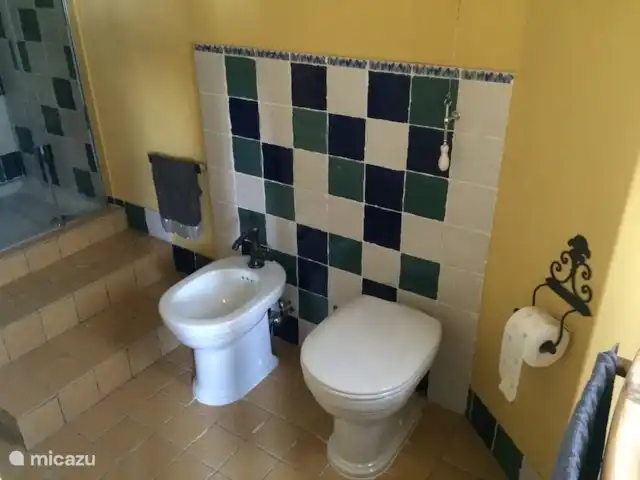 Antico Podere huren in Italië, Toscane, Castiglion Fiorentino - vakantiehuis Mooie badkamer, wel met een paar treden naar de douche.