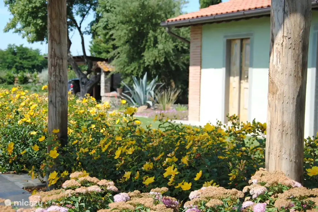 Un jardín muy bien cuidado.