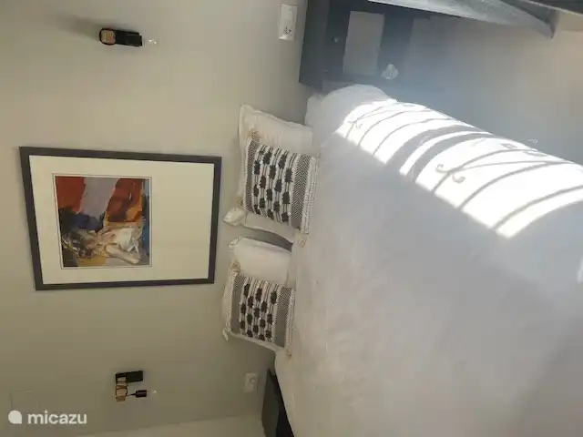 Second bedroom, large bed or twin beds